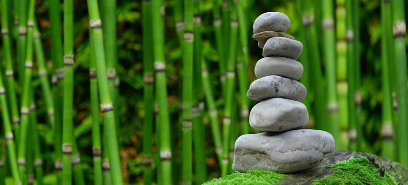 Garden Serenity